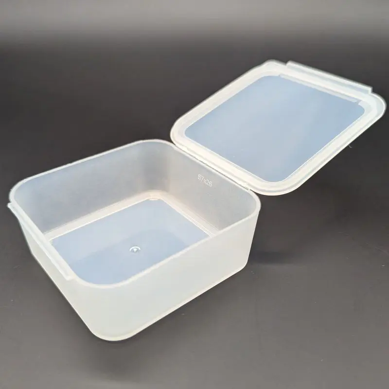 Hinged Plastic Box Transparent